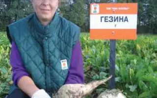 Гезина Rz F1