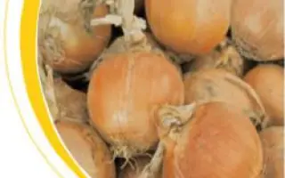 Дакапо F1 / Dacapo F1