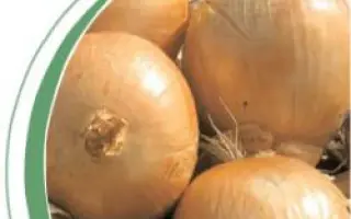 Кваттро F1 / Quattro F1