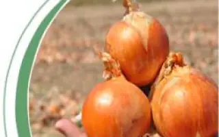 Каладо F1 / Calado F1