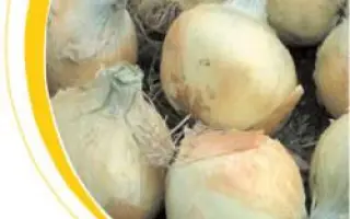 Вольф F1 / Wolf F1