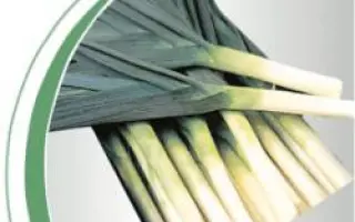 Порбелла / Porbella