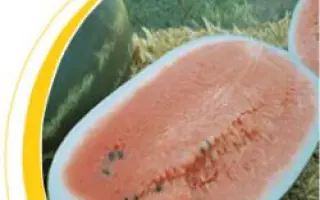 Кодак F1 / Kodak F1