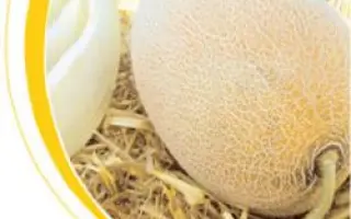 Бижур F1 / Bijour F1