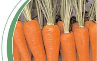 Ред Коред / Red Cored