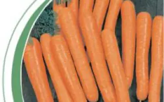 Болеро F1 / Bolero F1