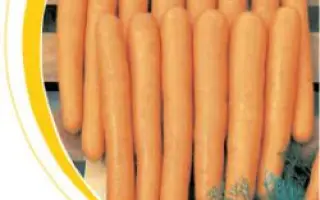 Маэстро F1 / Maestro F1