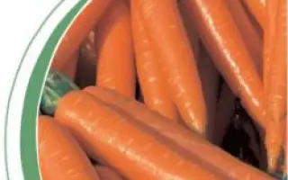 Волкано F1 / Volcano F1