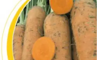 Гиганта / Giganta