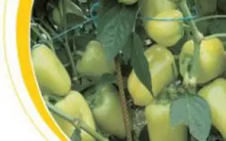 ПС 2779 F1 / PS 2779 F1