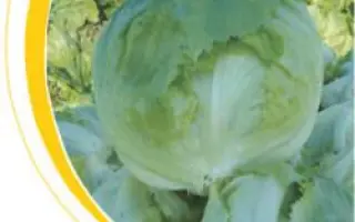 Робинсон / Robinson