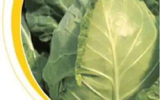 Магнус F1 / Magnus F1 (NiZ 17-932 F1)