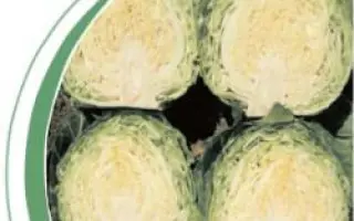 Балбро F1 (Balbro F1) / Бурбон F1 (Bourbon F1)