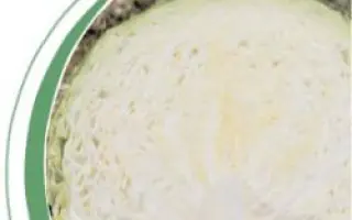 Ландини F1 / Landini F1