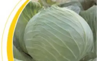 Бартон F1 / Burton F1