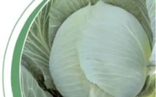 Гилсон F1 / Gilson F1