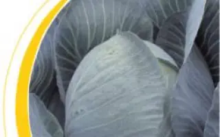 Криптон F1 / Krypton F1