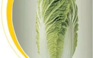 Витимо F1 / Vitimo F1