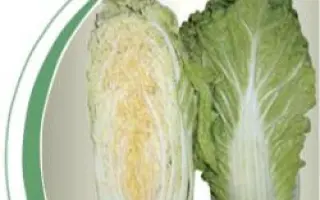 Сторидо F1 / Storido F1