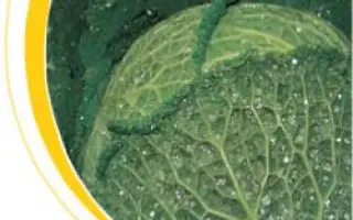 Корналин F1 / Cornalyn F1