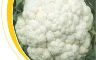 Хельсинки F1 / Helsinki F1