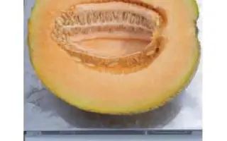 Суперстар F1 / Superstar F1