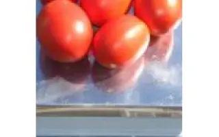 Лиона F1 / Liona F1