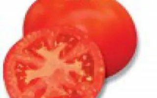 Пьетро F1 / Pietro F1