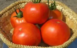 Багира F1 / Bagira F1