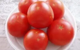 Лорели F1 / Loreli F1