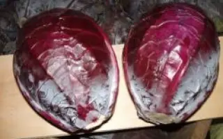 ГАРАНСИ F1 / GARANCE F1