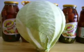 МАНДАРИН F1 / MANDARIN F1