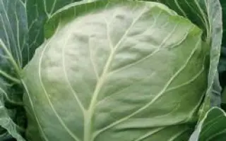 Этма РЦ F1 / Єтма РЦ F1 / Jetma RZ F1