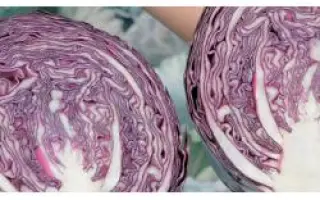 Рэдма РЦ F1 / Redma RZ F1