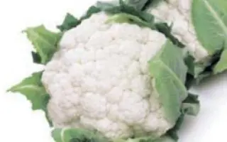 Каспер РЦ F1 / Kasper RZ F1