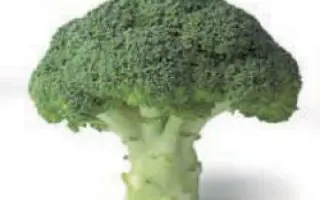 Агаси РЦ F1 / Agassi RZ F1