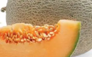 Карибиан Голд РЦ F1 / Caribben Gold RZ F1