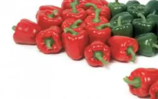 Мазурка РЦ F1 / Mazurka RZ F1