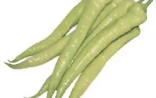 Янка РЦ F1 / Yanka RZ F1