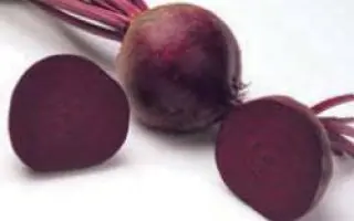 Акела РЦ / Akela RZ