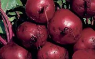 Ларка РЦ F1 / Larka RZ F1