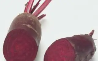 Лома РЦ  / Loma RZ