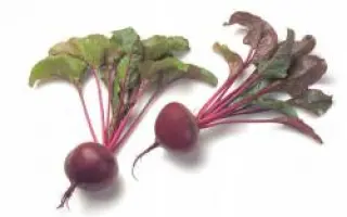 Монализа РЦ / Monalisa RZ