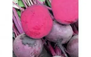 Зеппо РЦ F1 / Zeppo RZ F1