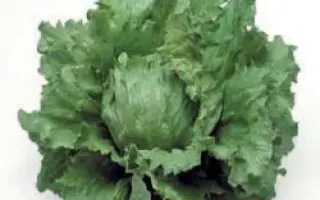 Лагунас РЦ / Lagunas RZ