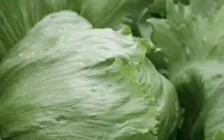 Платинас РЦ / Platinas RZ