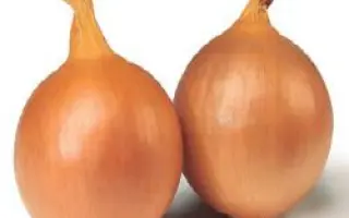 Стамфорд F1 / Stamford F1