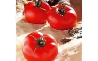 Бруклин F1 / Brooklyn F1