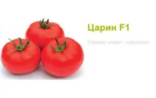 Царин F1 / Tsarine F1