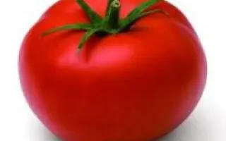 Эволюшн F1 / Evolution F1